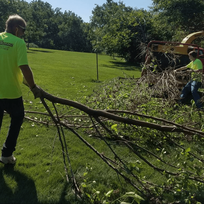 Bush Trimming and Removal Papillion, NE